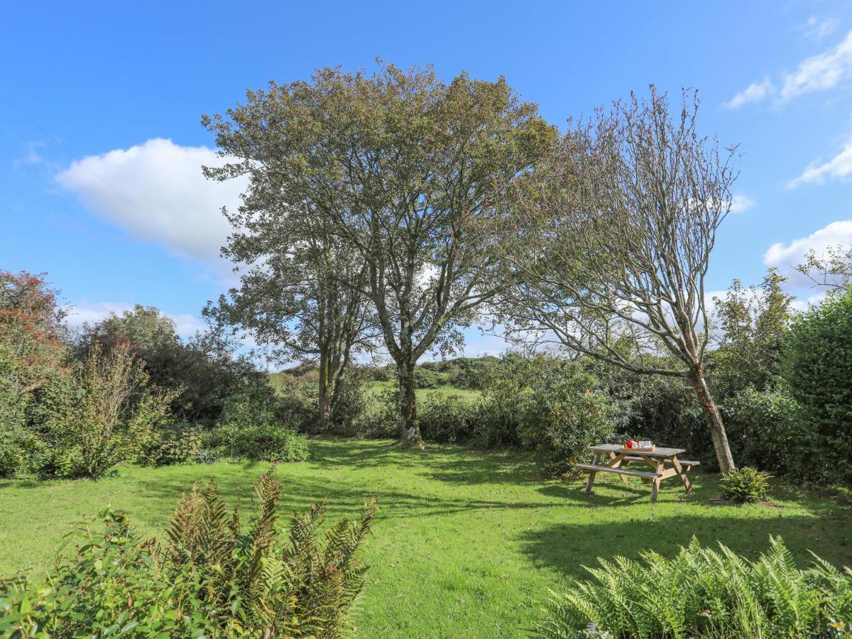 Ffrwd Cottage Bodorgan Kültér fotó